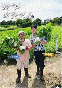 国家宝藏
